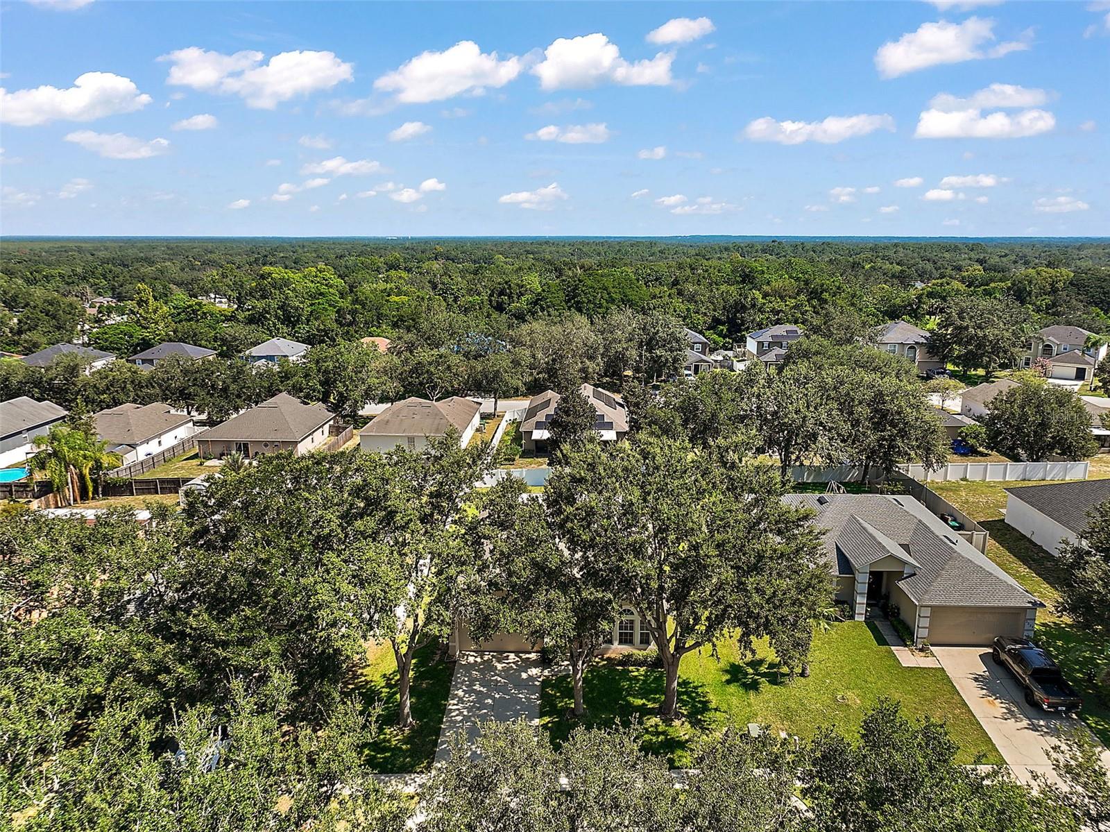 , EUSTIS, FL — photo 7