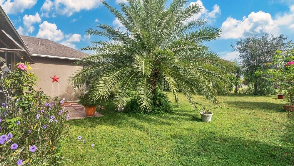 5203 JASMINE TRACE LN, KISSIMMEE, FL — photo 23