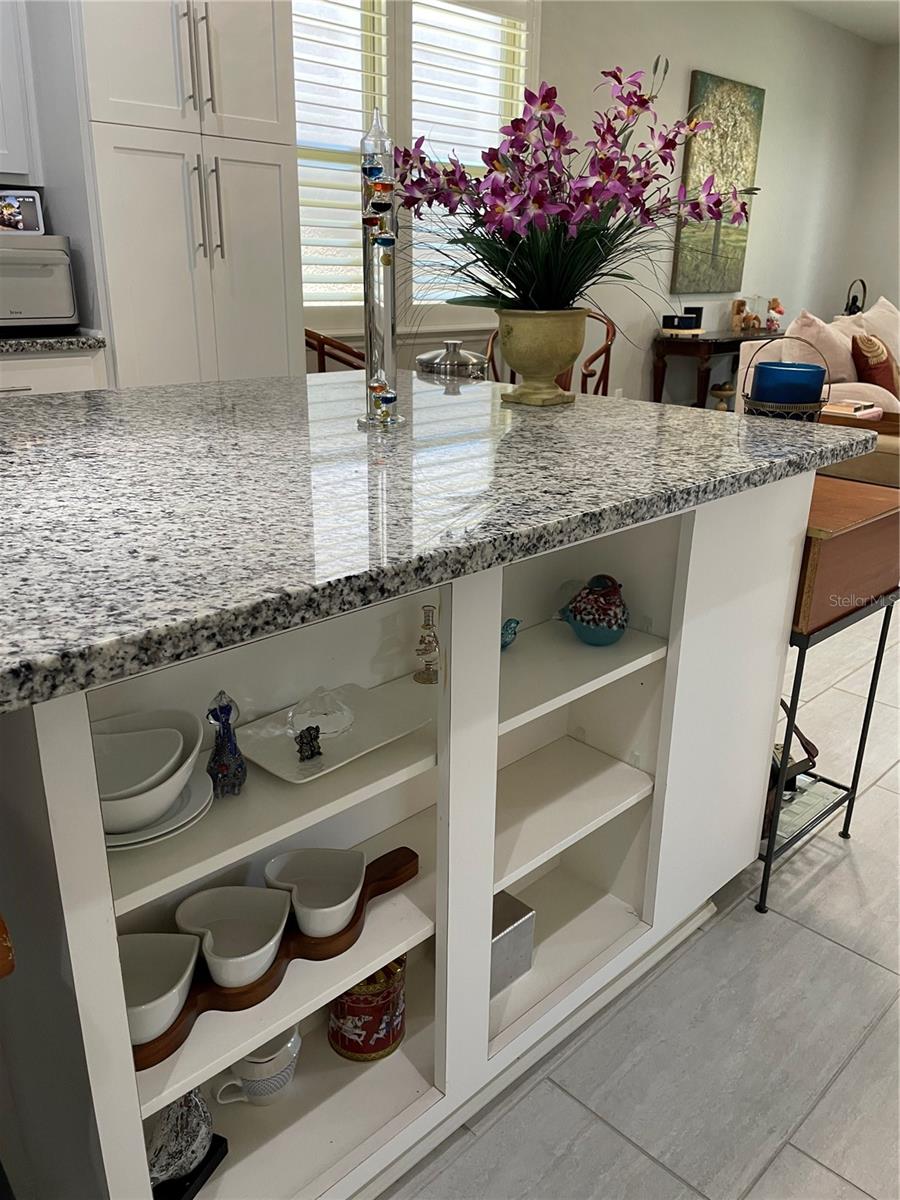 436 PONTEVEDRA RD, DAVENPORT, FL — photo 10