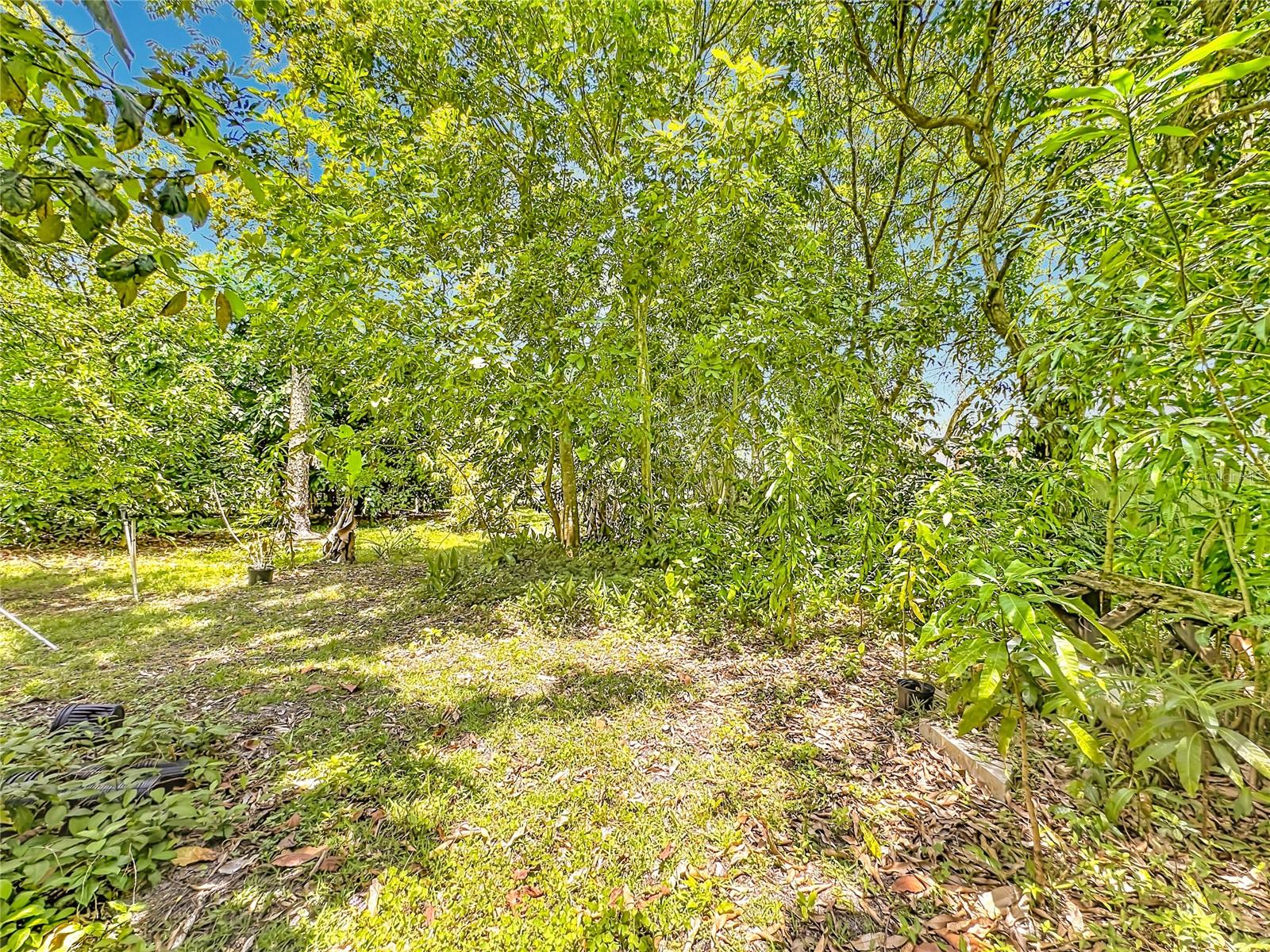 12821 86TH RD N, WEST PALM BEACH, FL — photo 48