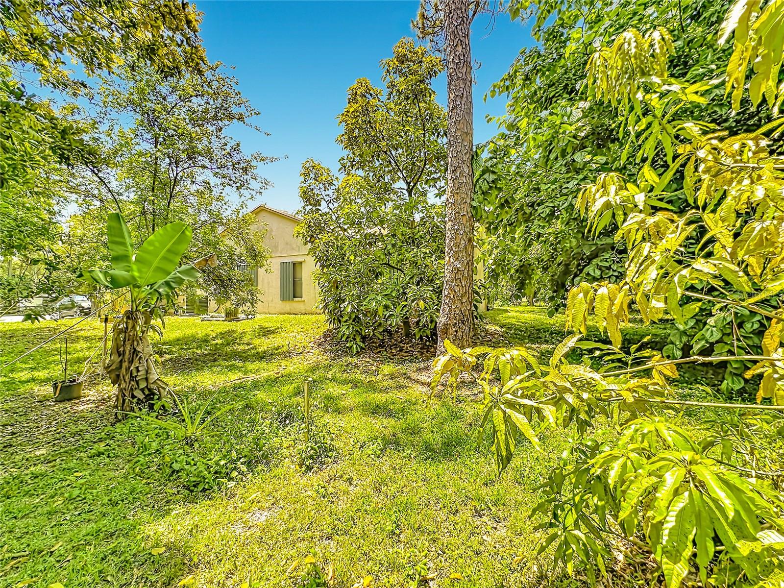 12821 86TH RD N, WEST PALM BEACH, FL — photo 50