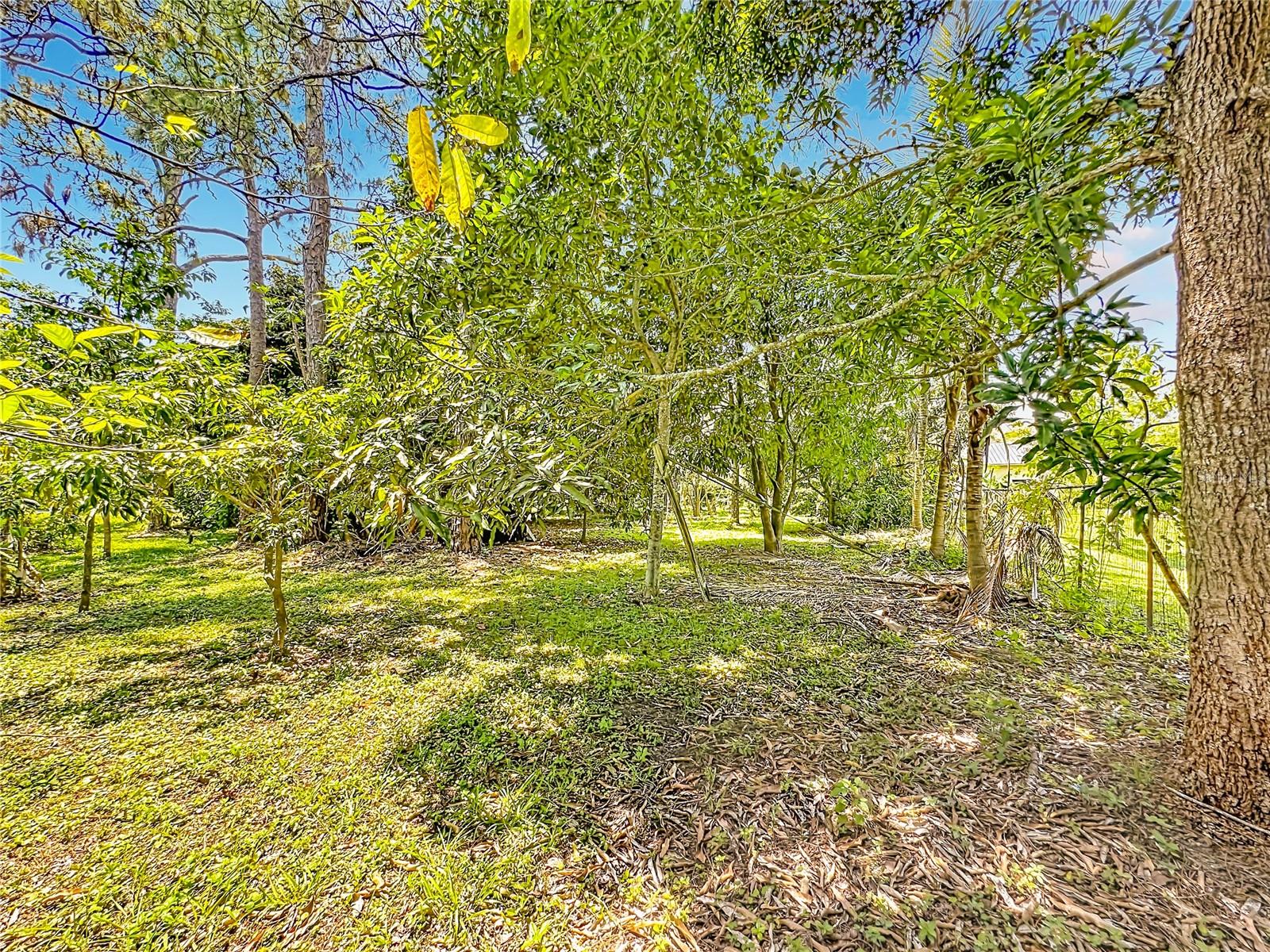 12821 86TH RD N, WEST PALM BEACH, FL — photo 51