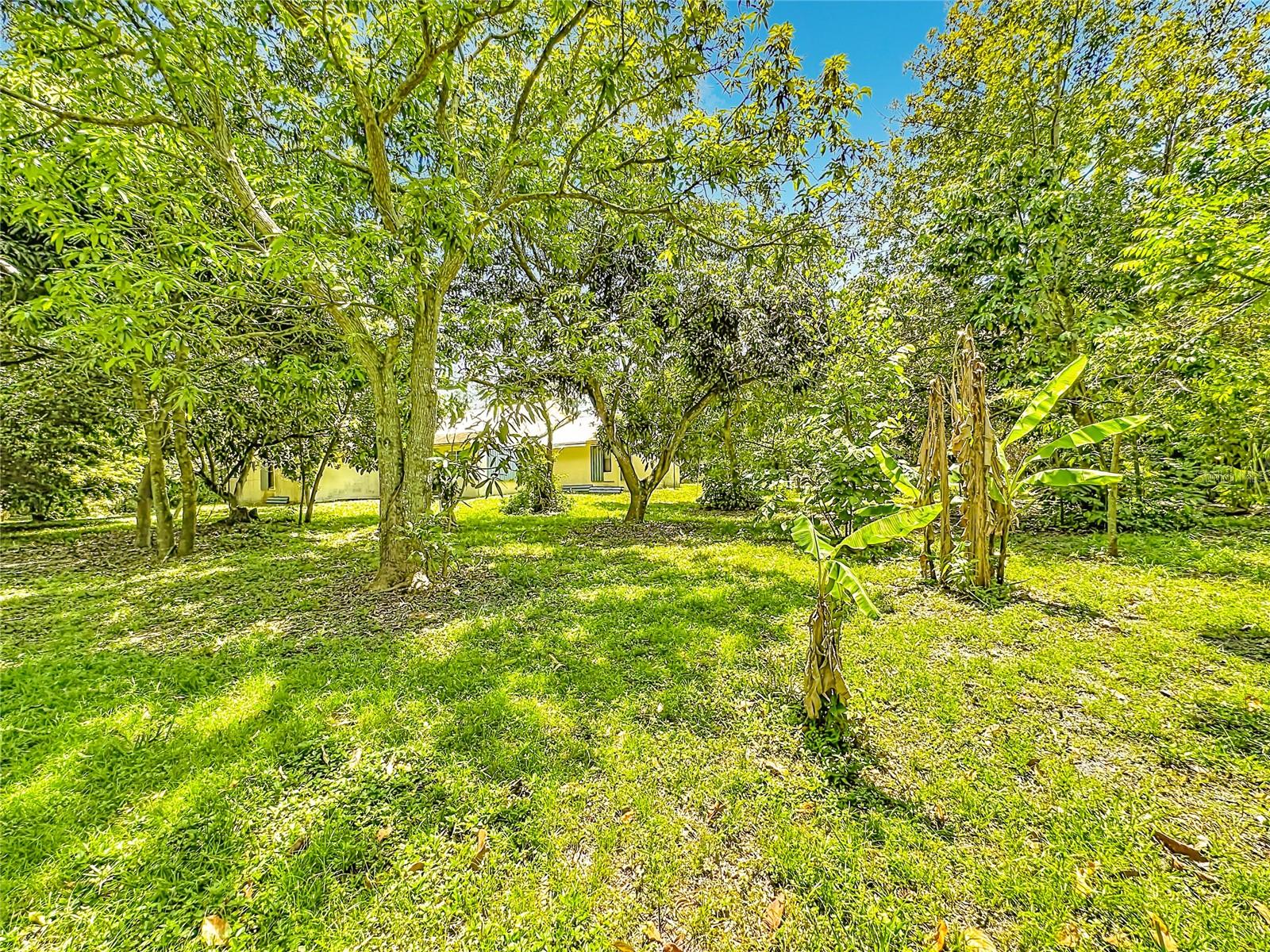 12821 86TH RD N, WEST PALM BEACH, FL — photo 54