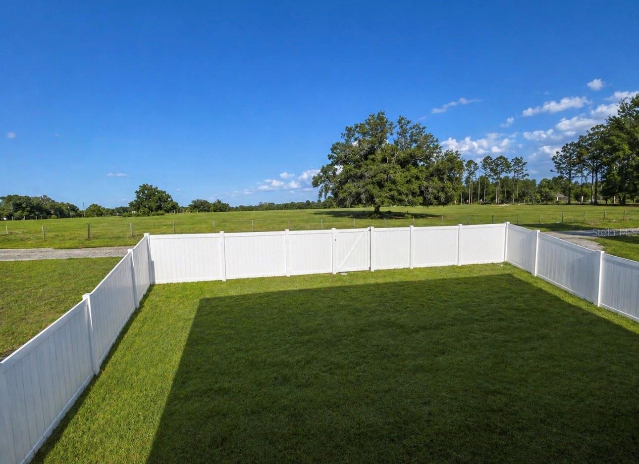 239 CURTIS AVE, GROVELAND, FL — photo 29