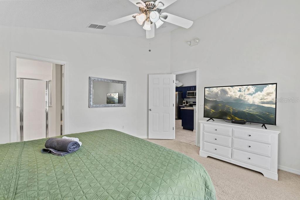 2916 BLOOMING ALAMANDA LOOP, KISSIMMEE, FL — photo 27