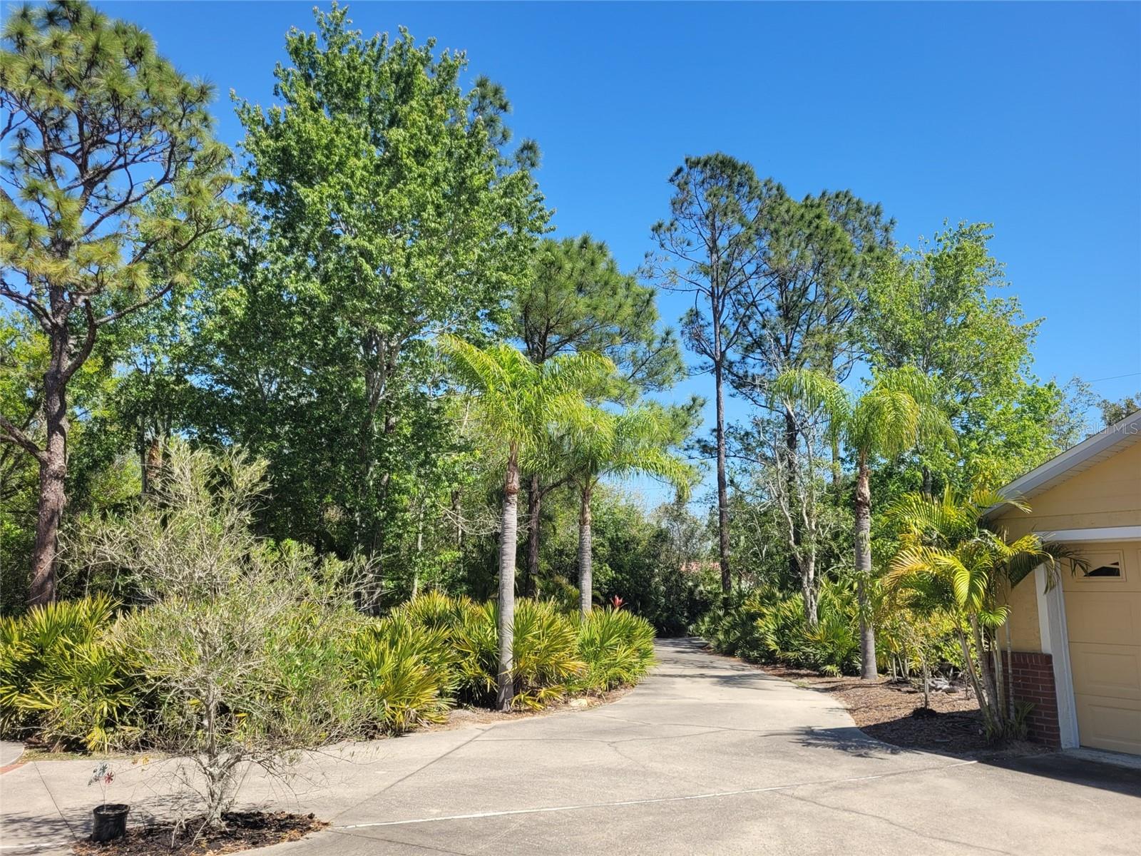 3150 APPALOOSA CT, KISSIMMEE, FL — photo 7