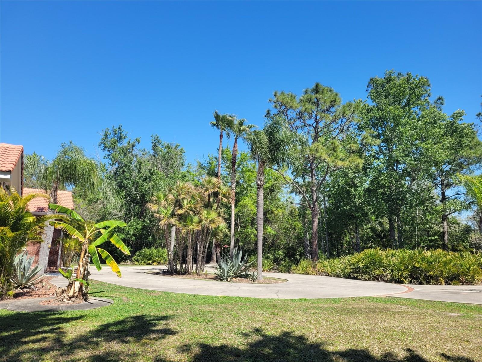 3150 APPALOOSA CT, KISSIMMEE, FL — photo 8