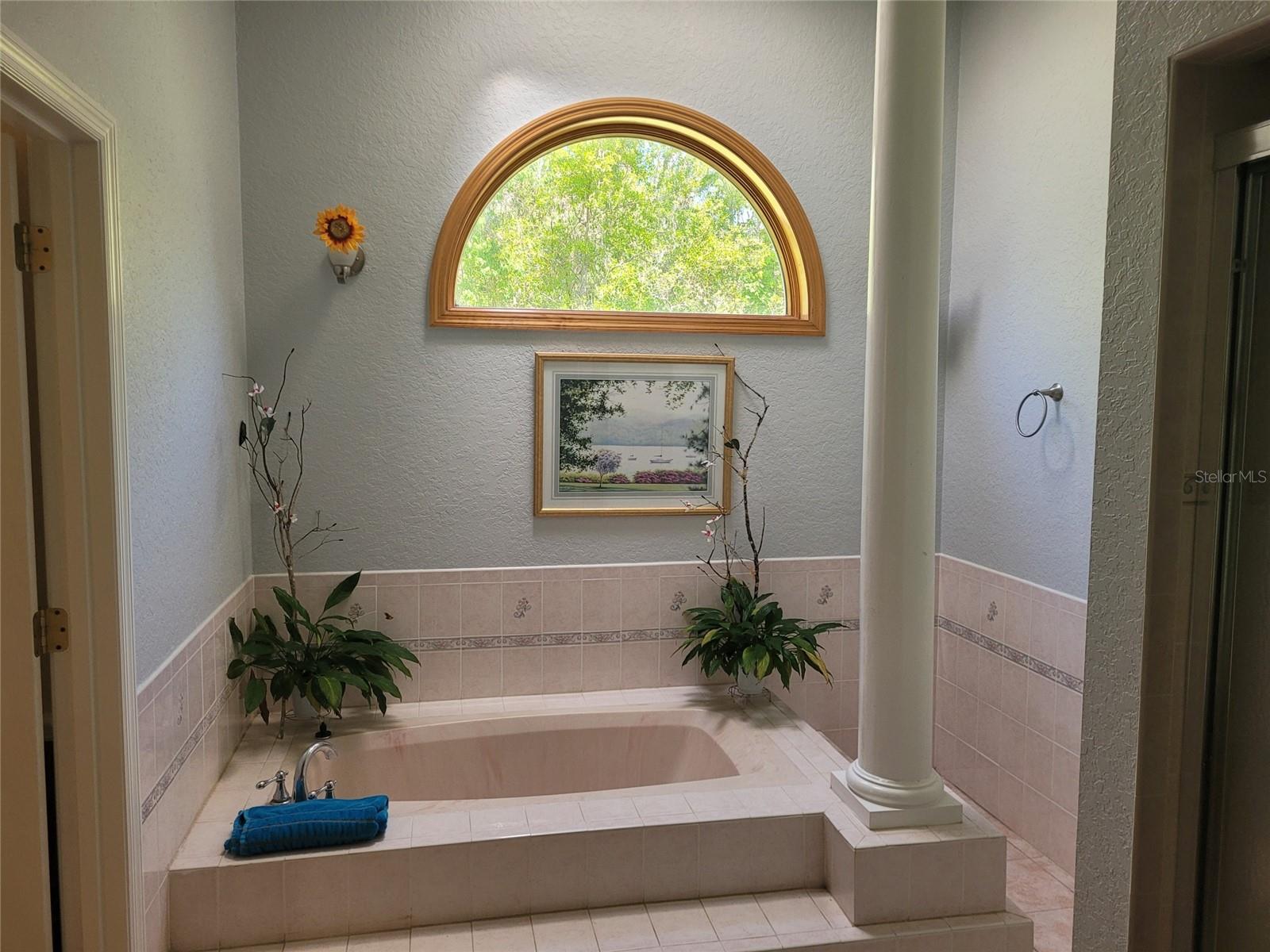 3150 APPALOOSA CT, KISSIMMEE, FL — photo 16