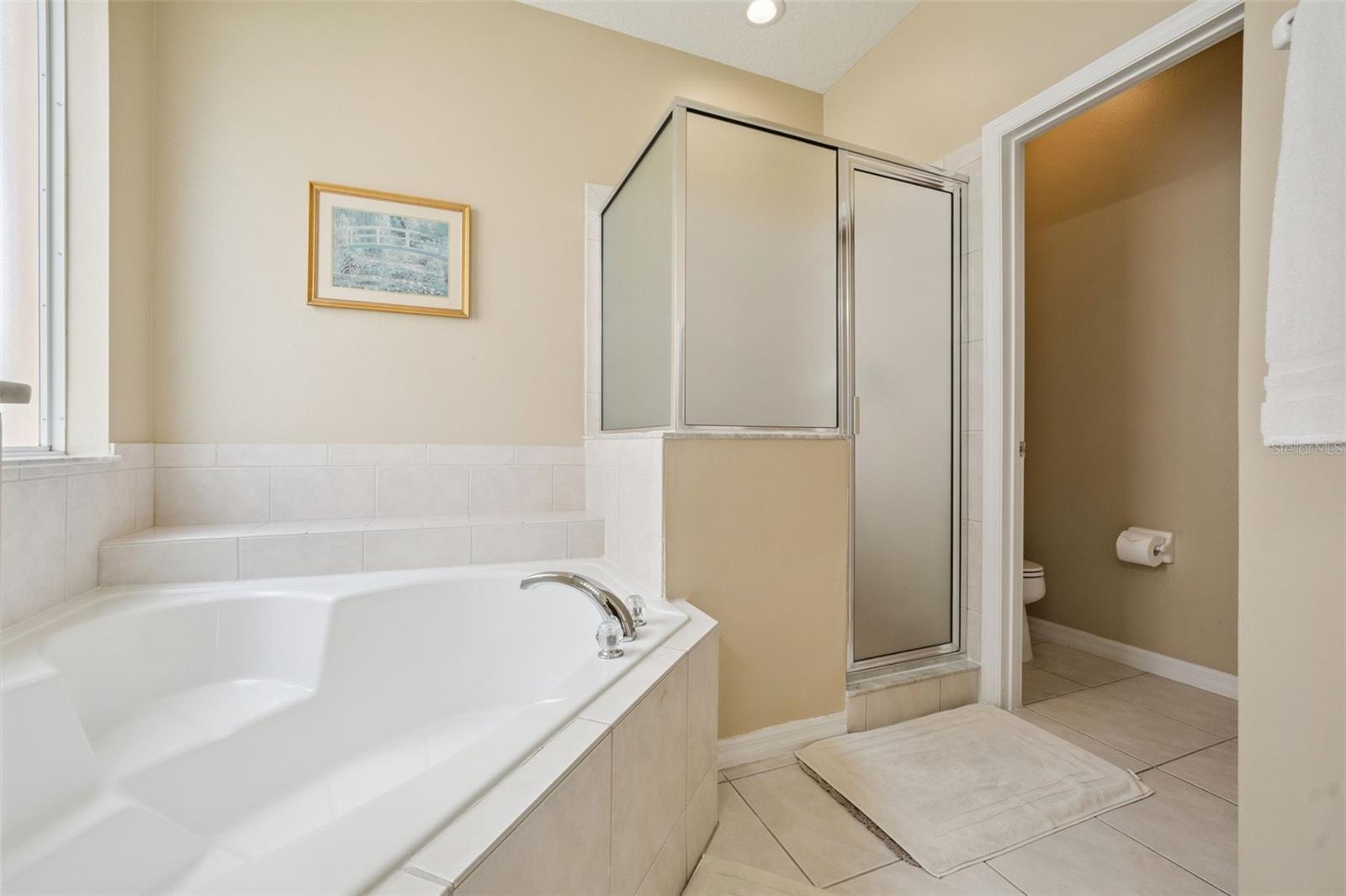 8550 SUNRISE KEY DR, KISSIMMEE, FL — photo 20