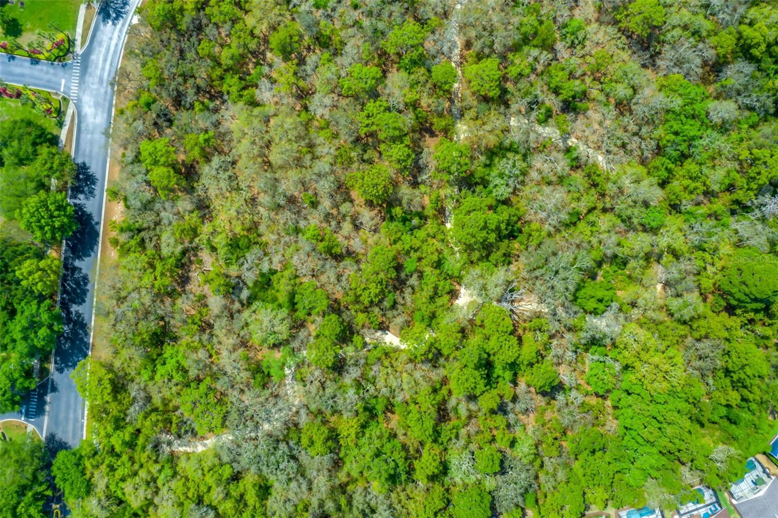 8550 SUNRISE KEY DR, KISSIMMEE, FL — photo 58