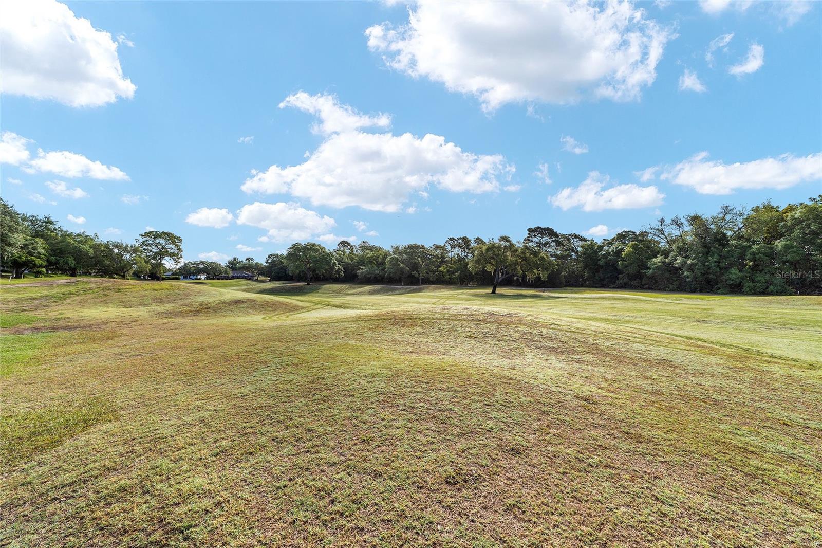 4543 N JADEMOOR DR, BEVERLY HILLS, FL — photo 45
