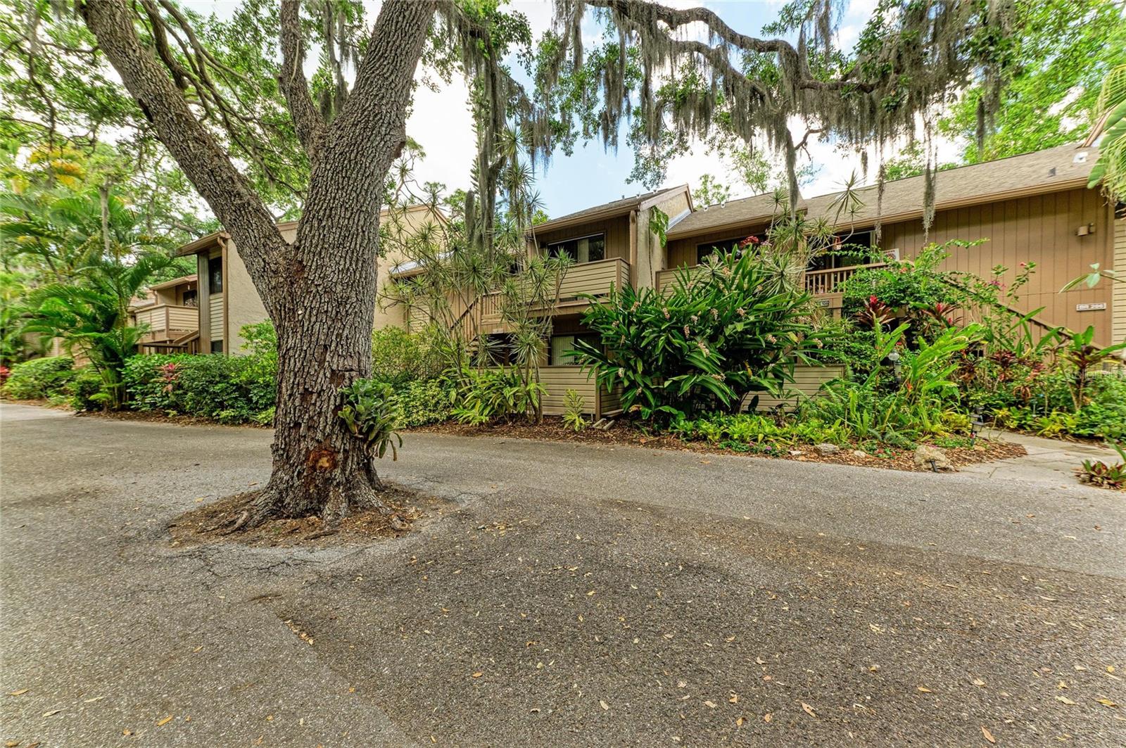 1709 CLOWER CREEK DR #205, SARASOTA, FL — photo 39