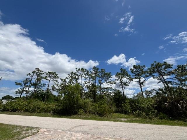 29305 HAZELWOOD DR, PUNTA GORDA, FL — photo 7