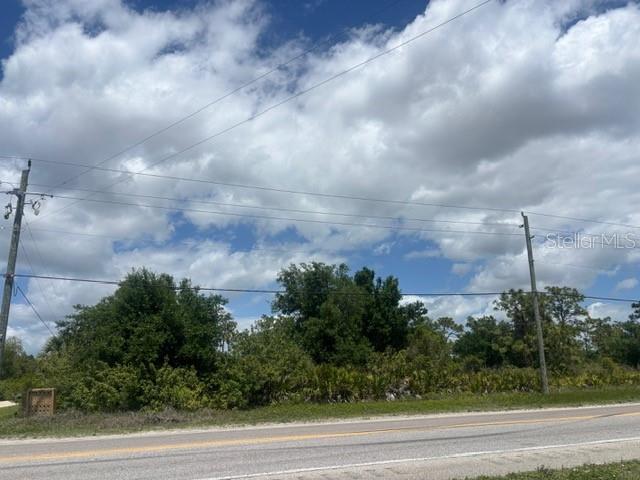 29305 HAZELWOOD DR, PUNTA GORDA, FL — photo 9
