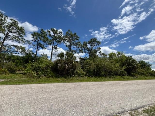 29305 HAZELWOOD DR, PUNTA GORDA, FL — photo 11