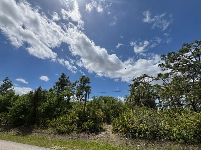 29305 HAZELWOOD DR, PUNTA GORDA, FL — photo 12
