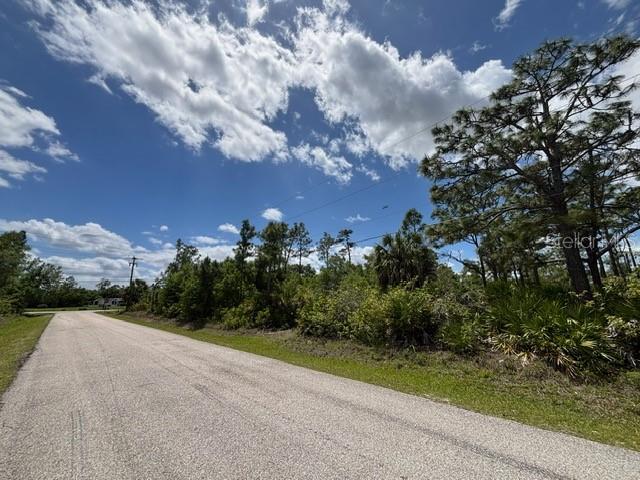 29305 HAZELWOOD DR, PUNTA GORDA, FL — photo 13