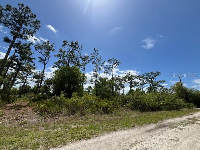 29305 HAZELWOOD DR, PUNTA GORDA, FL — photo 14