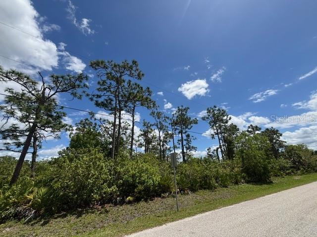 29305 HAZELWOOD DR, PUNTA GORDA, FL — photo 15