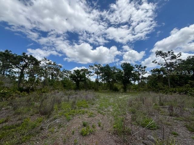 29305 HAZELWOOD DR, PUNTA GORDA, FL — photo 16