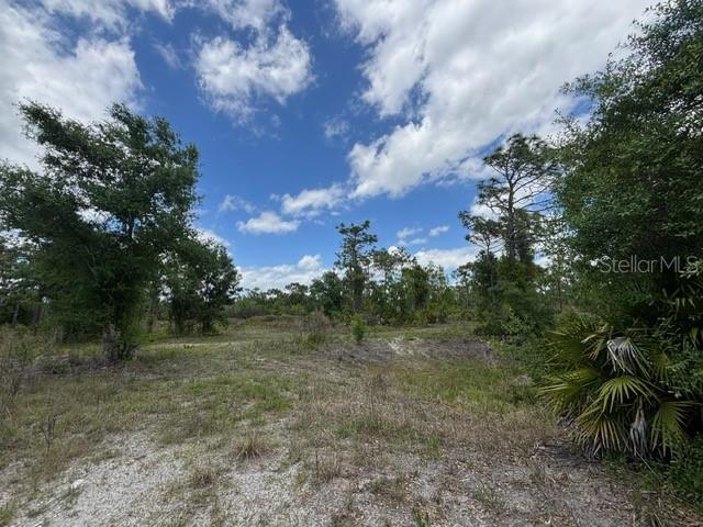 29305 HAZELWOOD DR, PUNTA GORDA, FL — photo 17