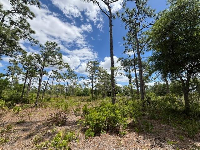 29305 HAZELWOOD DR, PUNTA GORDA, FL — photo 18