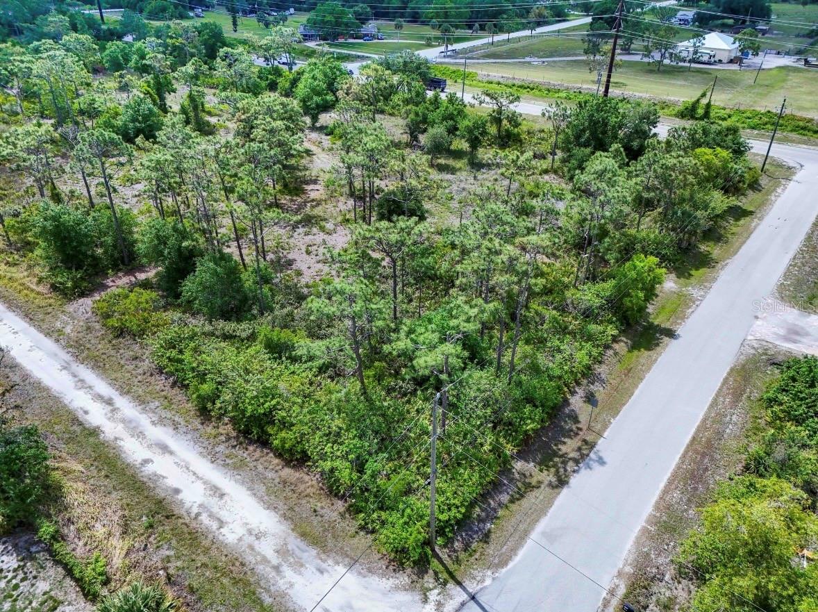 29305 HAZELWOOD DR, PUNTA GORDA, FL — photo 4