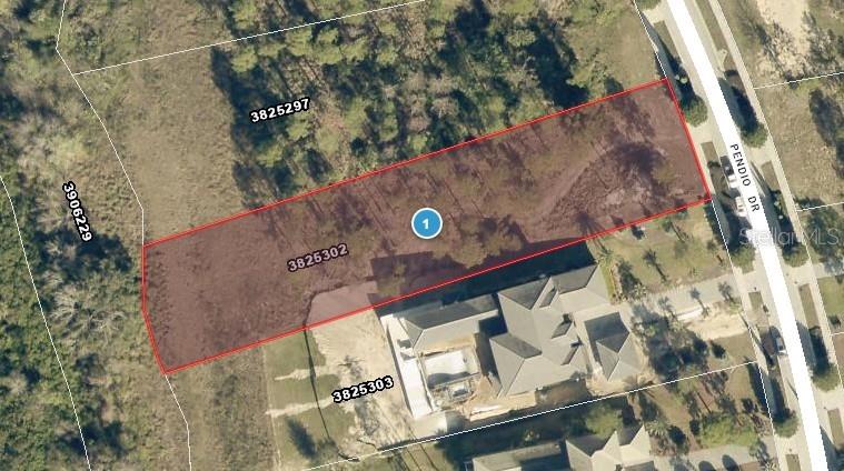 16401 PENDIO DR, MONTVERDE, FL — photo 3