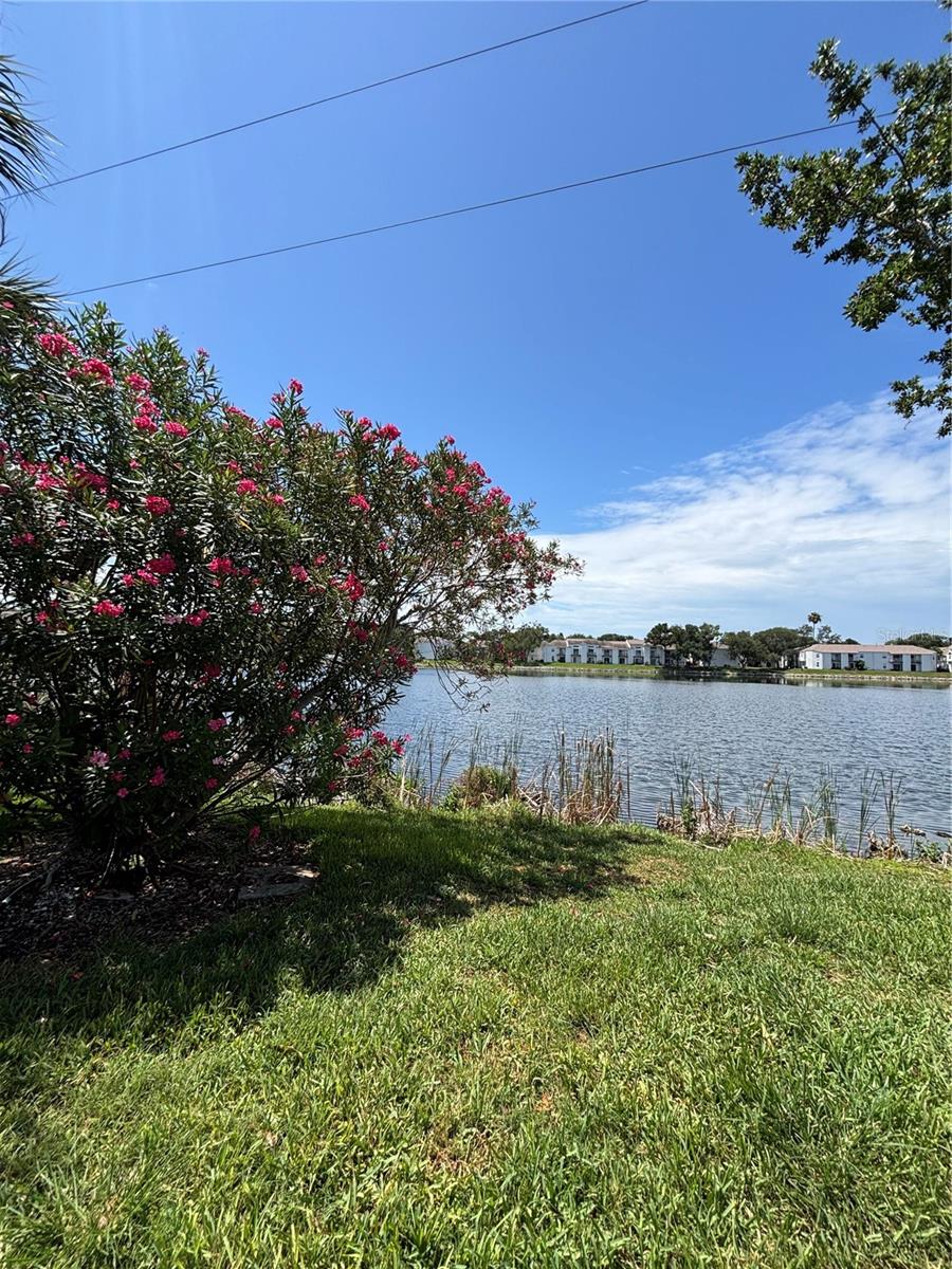3231 NAUTICAL PL S, ST PETERSBURG, FL — photo 42