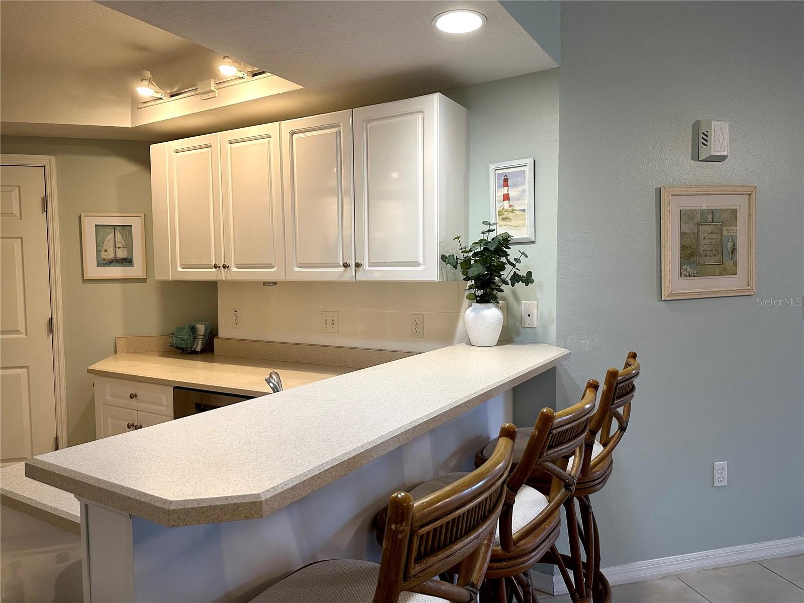 5300 S ATLANTIC AVE #8-402, NEW SMYRNA BEACH, FL — photo 12