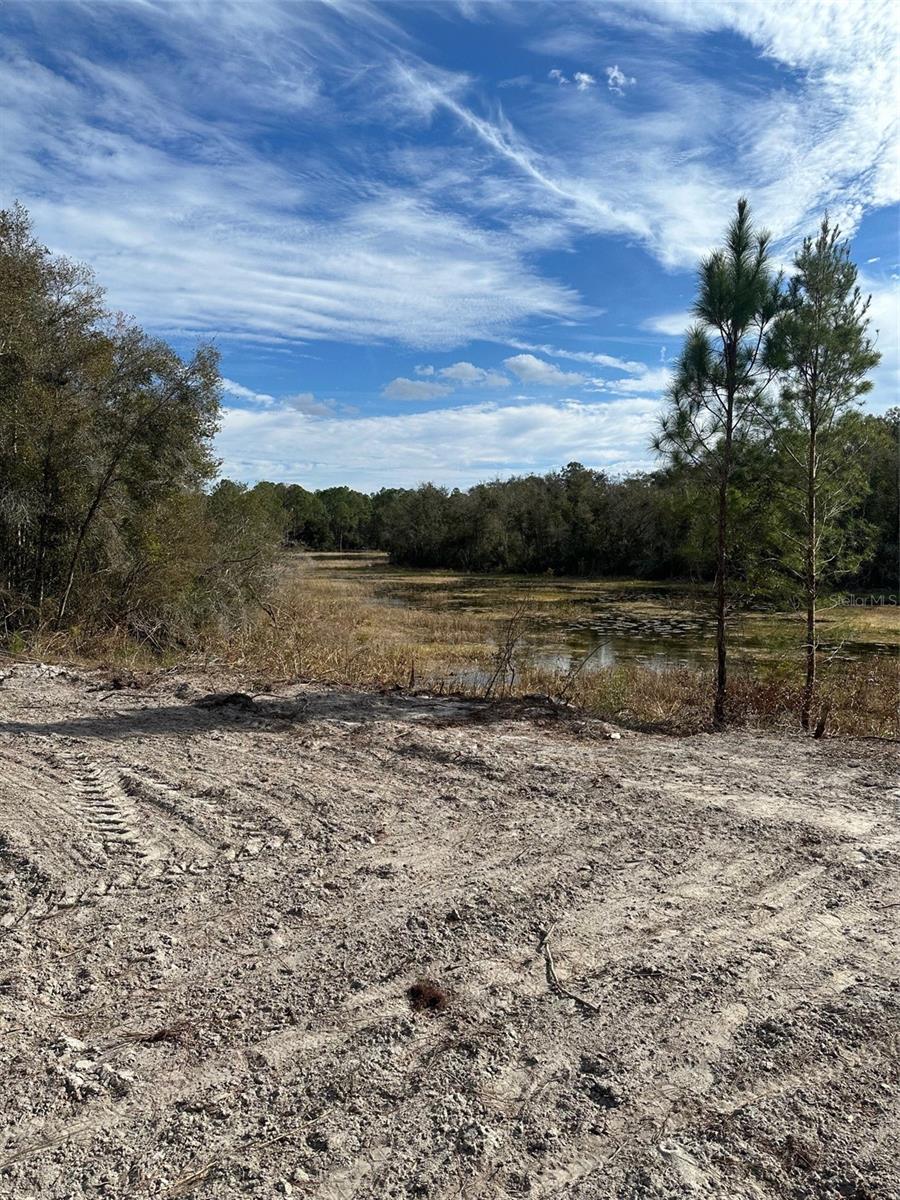 BERRYHILL DR, WEBSTER, FL