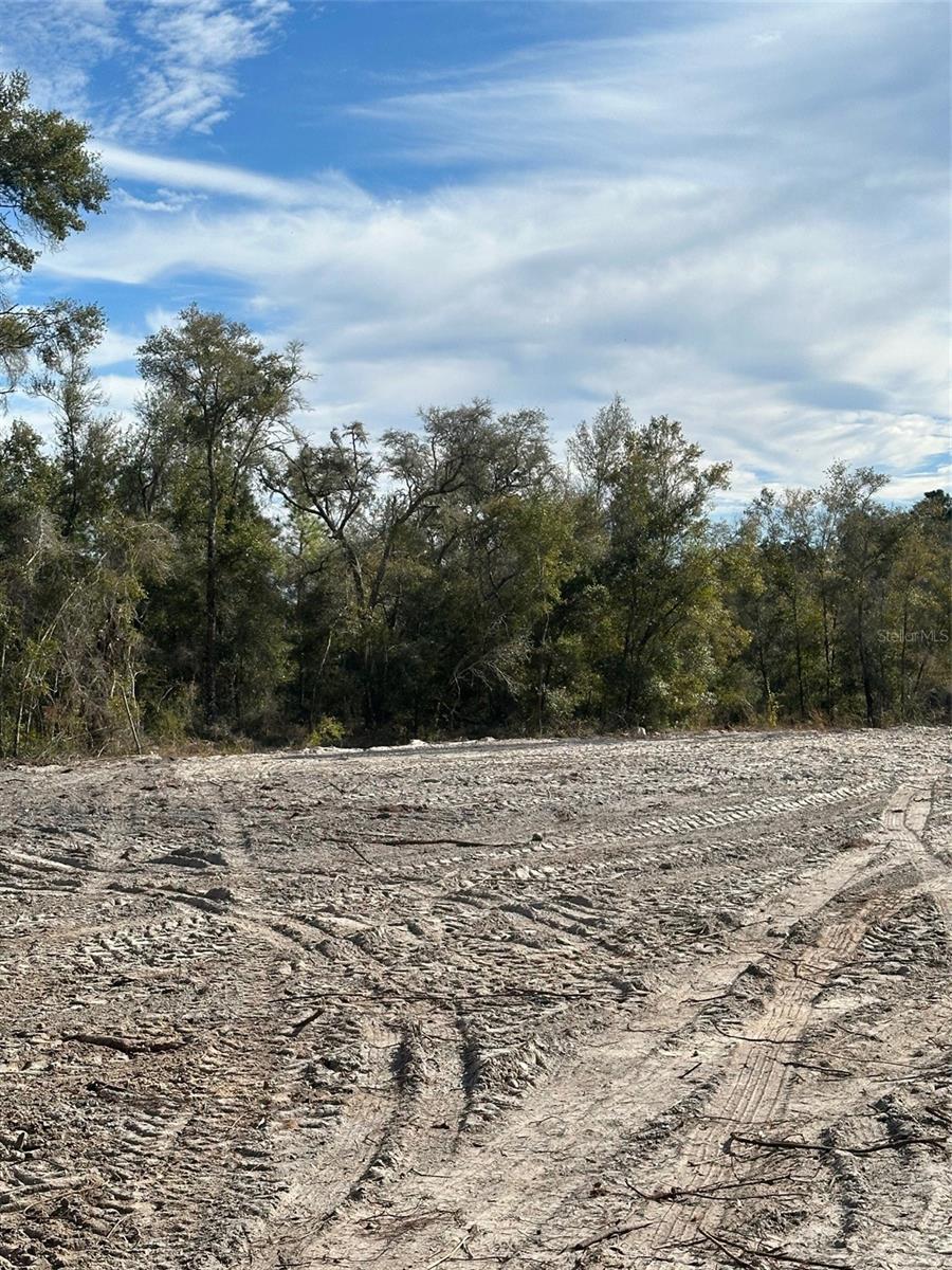 BERRYHILL DR, WEBSTER, FL — photo 3