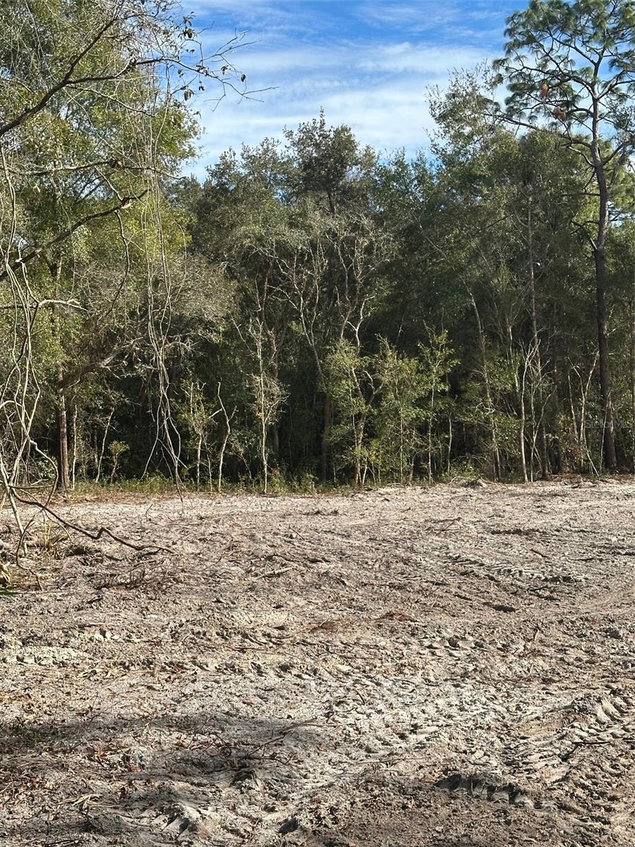 BERRYHILL DR, WEBSTER, FL — photo 4