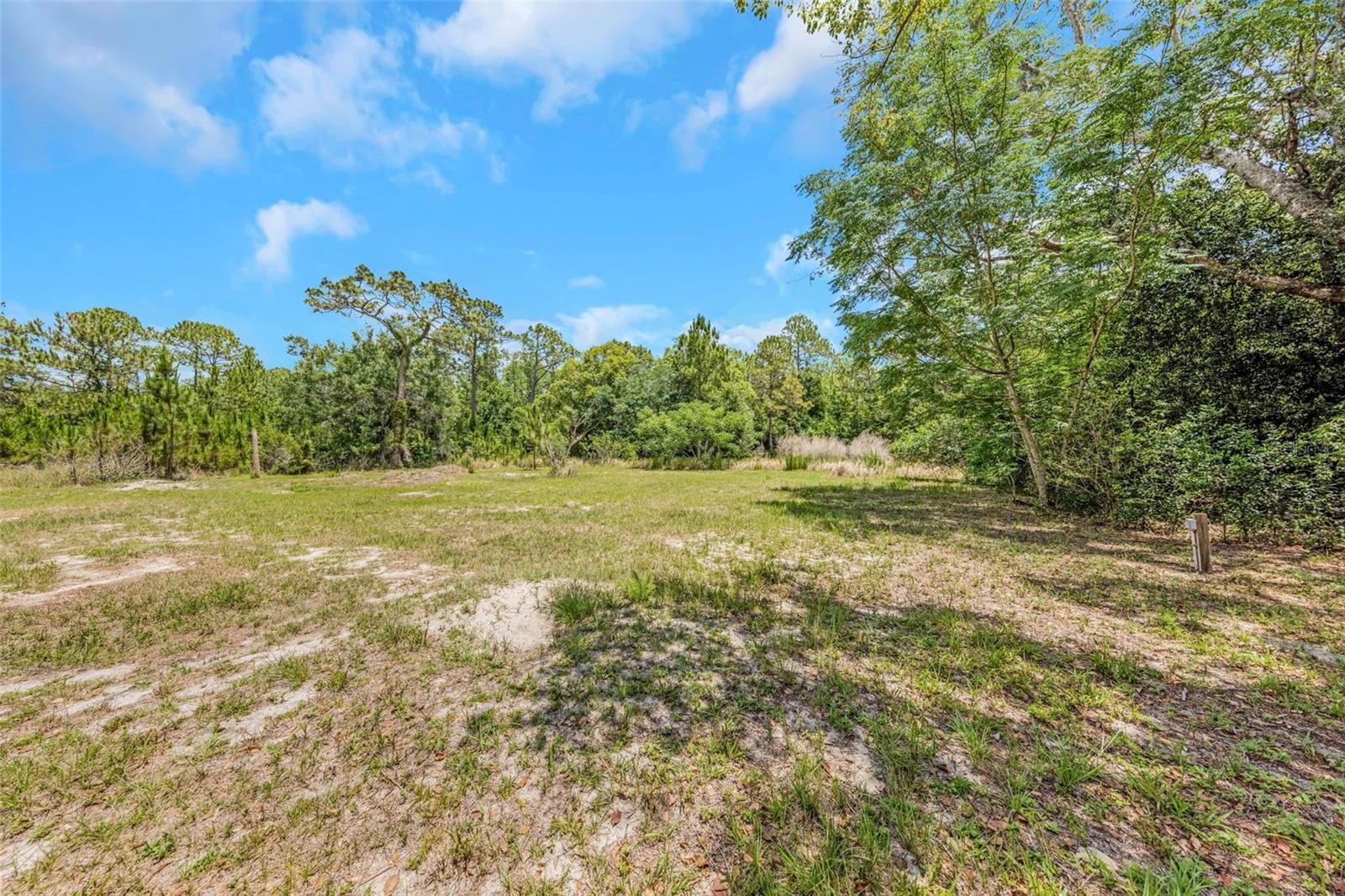 9224 ELZA ST, NEW PORT RICHEY, FL — photo 5