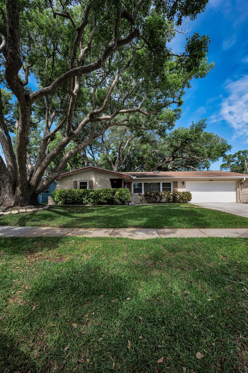 1368 WILLIAMS DR, CLEARWATER, FL — photo 8