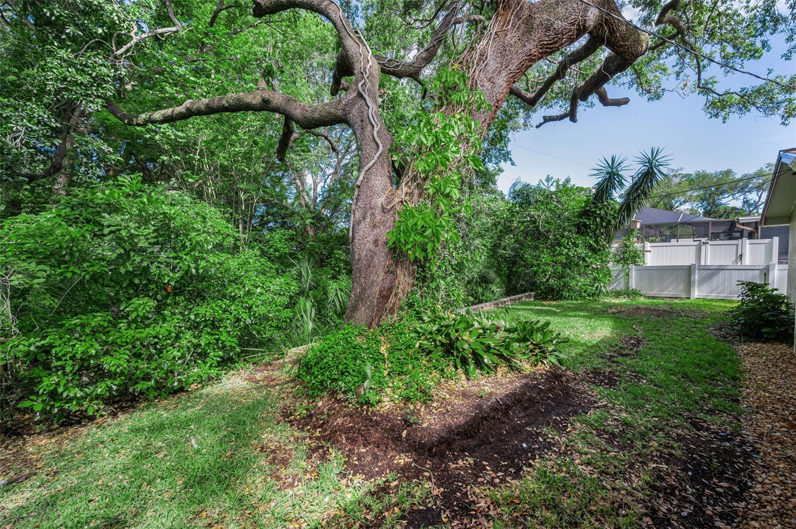 1368 WILLIAMS DR, CLEARWATER, FL — photo 28