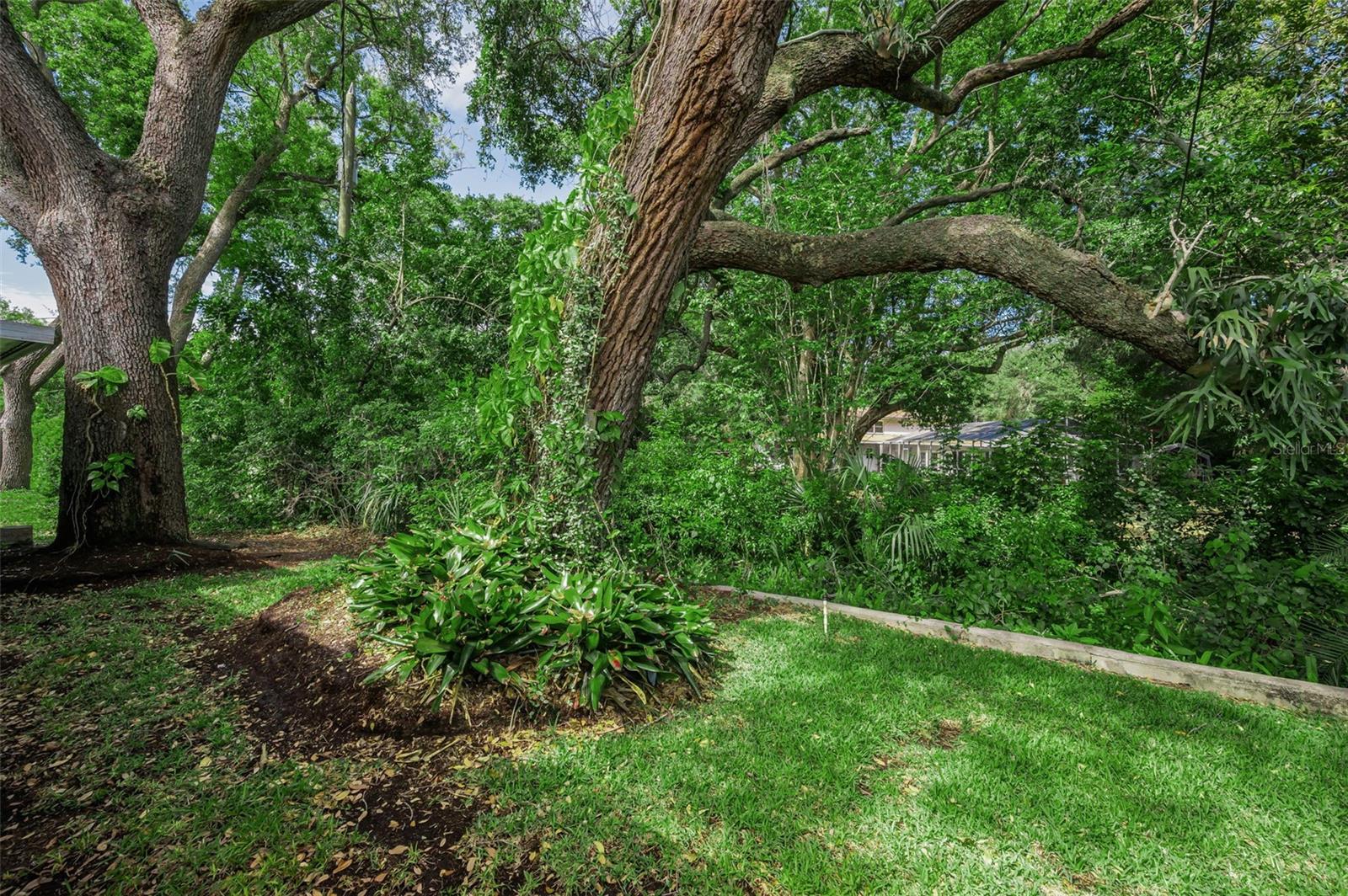 1368 WILLIAMS DR, CLEARWATER, FL — photo 30