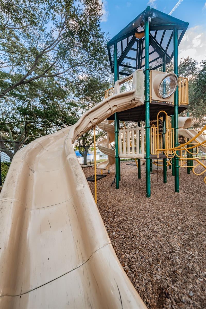 1368 WILLIAMS DR, CLEARWATER, FL — photo 40