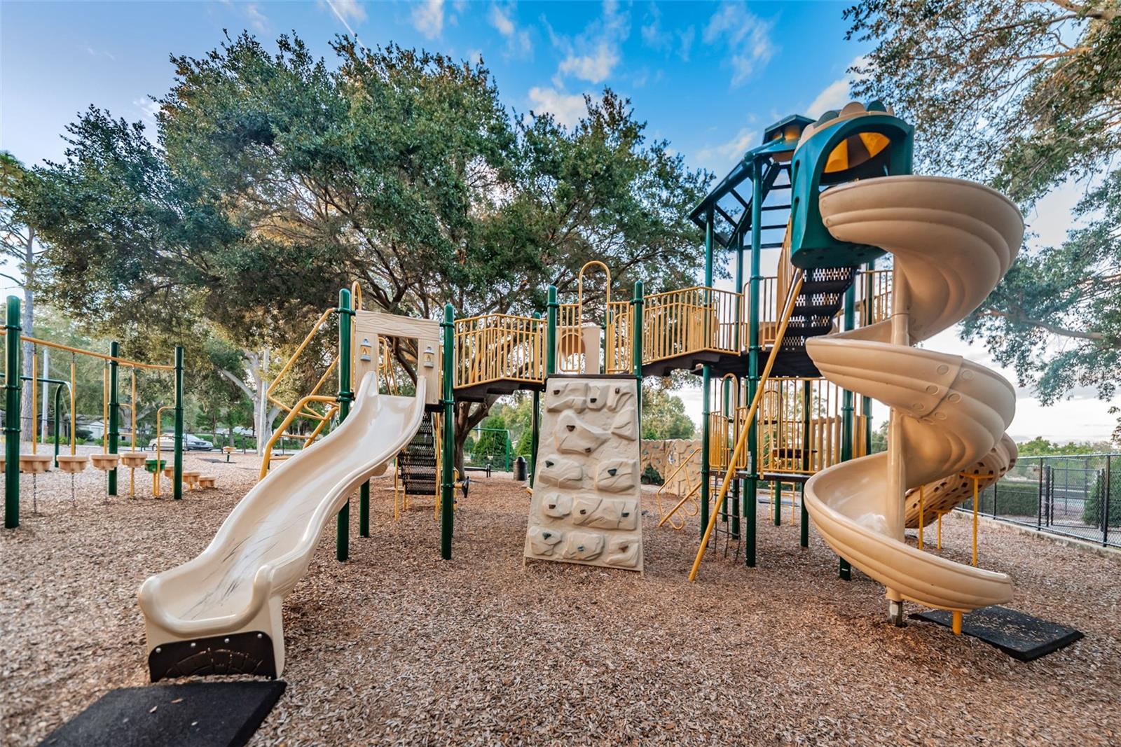 1368 WILLIAMS DR, CLEARWATER, FL — photo 41