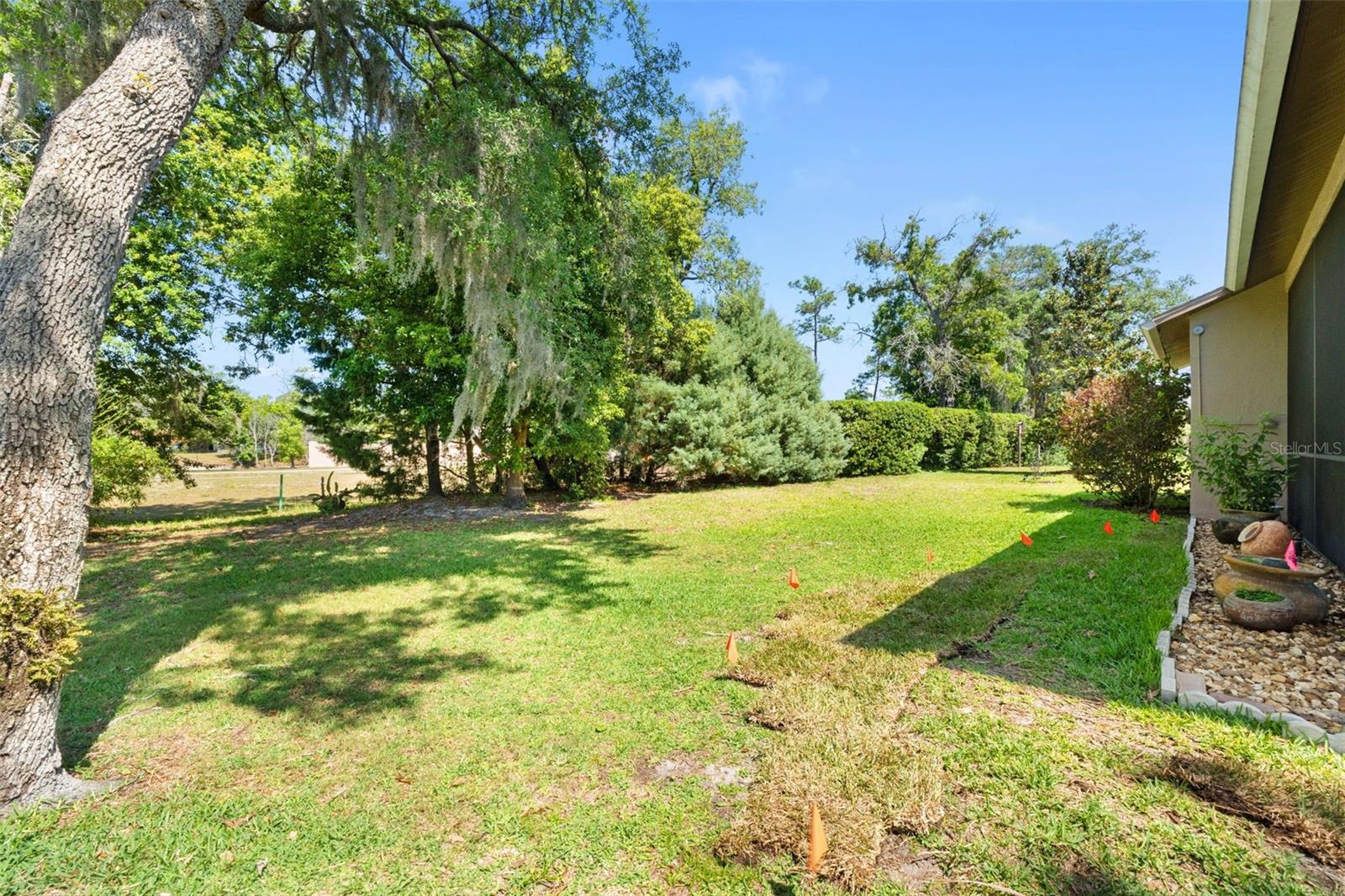 10311 PINENEEDLES DR, NEW PORT RICHEY, FL — photo 32