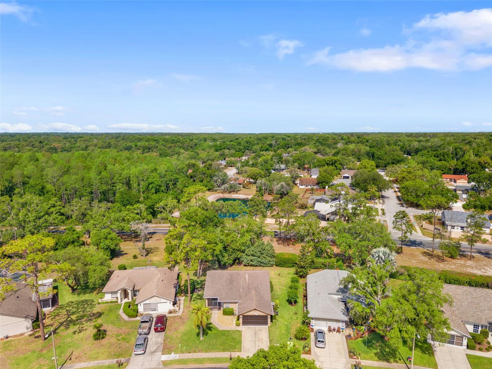 10311 PINENEEDLES DR, NEW PORT RICHEY, FL — photo 35