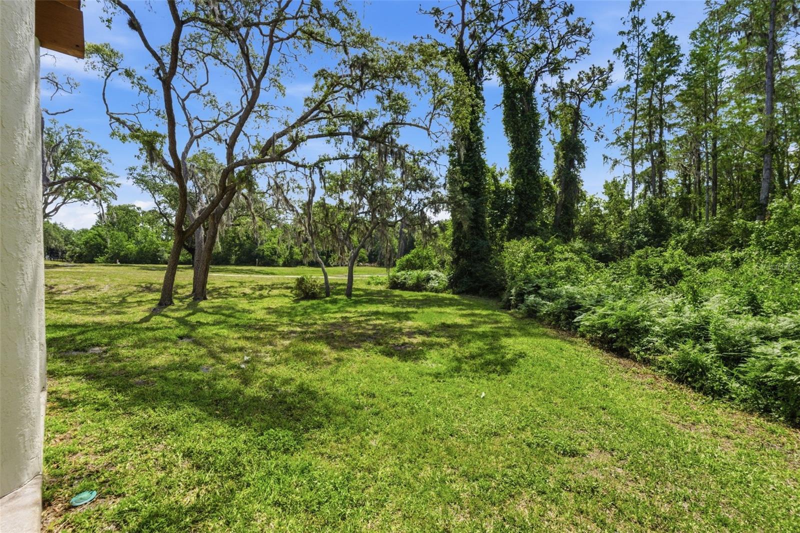 10311 PINENEEDLES DR, NEW PORT RICHEY, FL — photo 49
