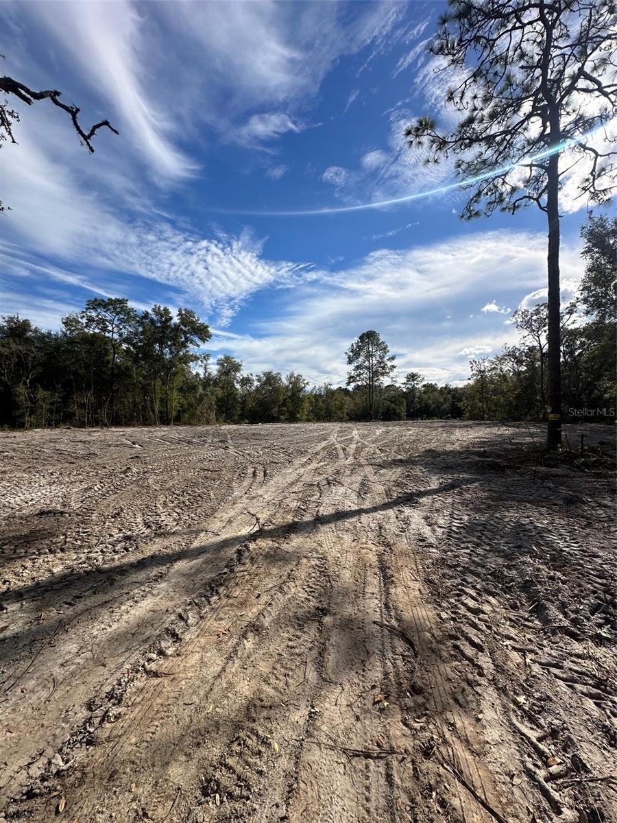 BERRYHILL DR, WEBSTER, FL — photo 5