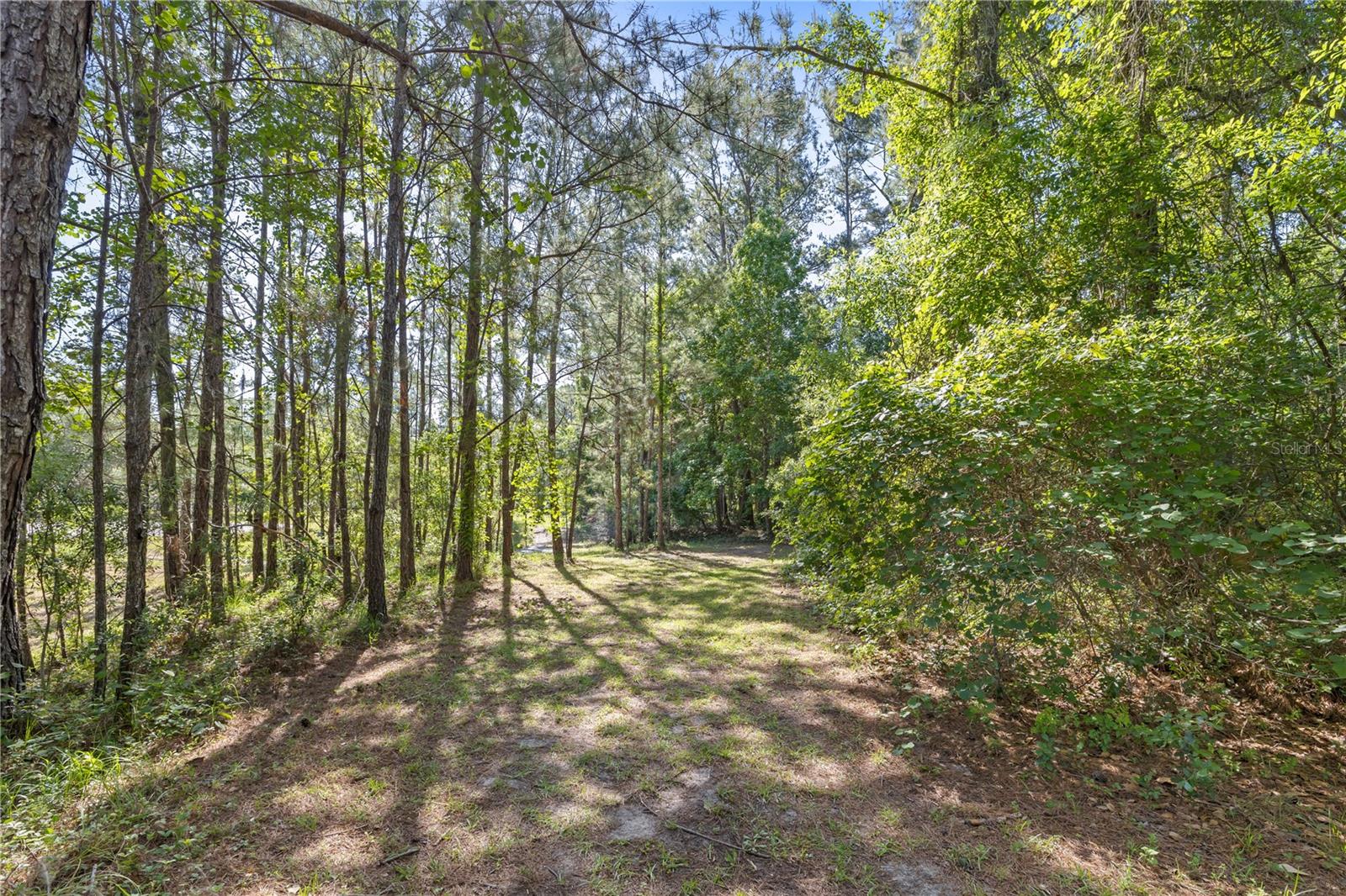 22250 DEER PARK AVE, EUSTIS, FL — photo 141
