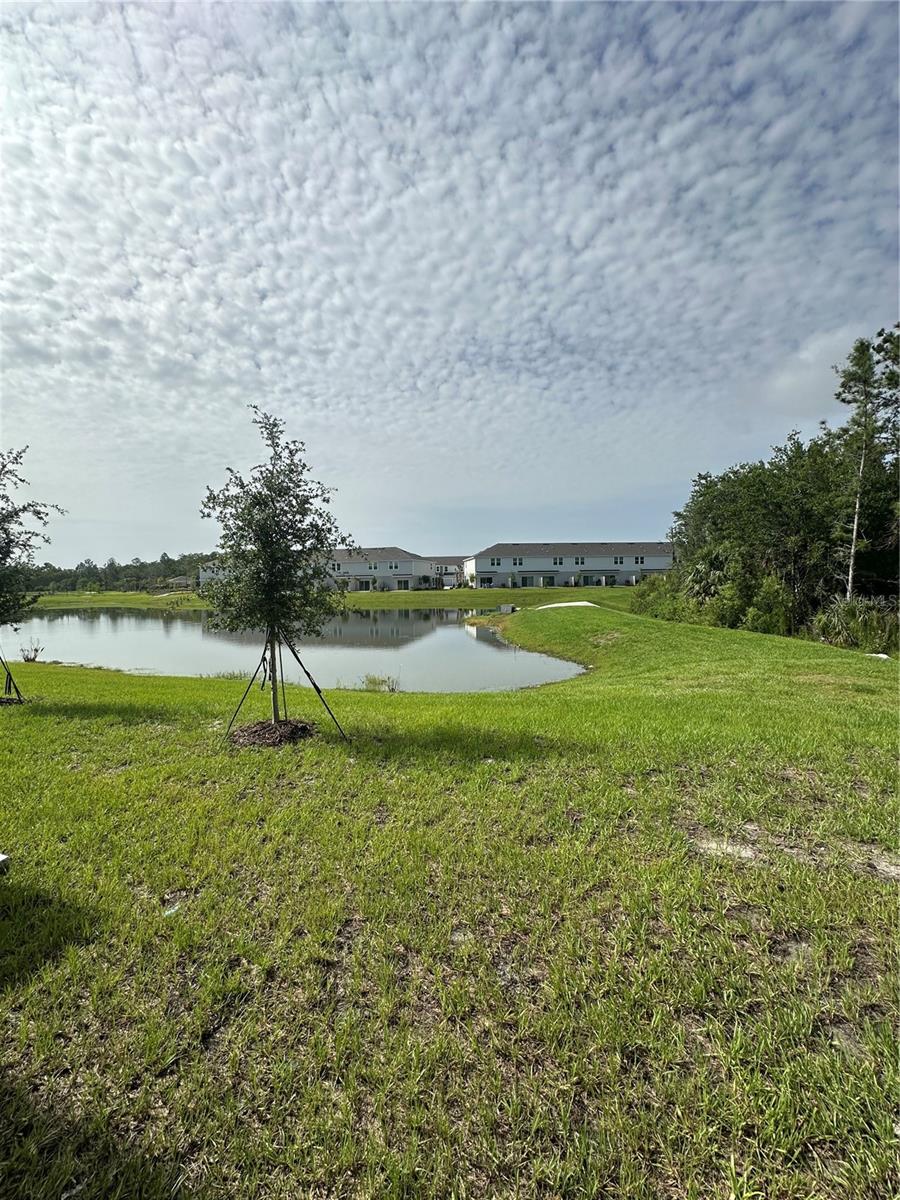 3137 SKYLINE LOOP, KISSIMMEE, FL — photo 11