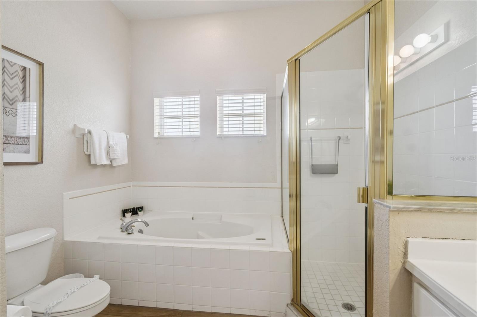 313 LUCAYA LOOP, DAVENPORT, FL — photo 21
