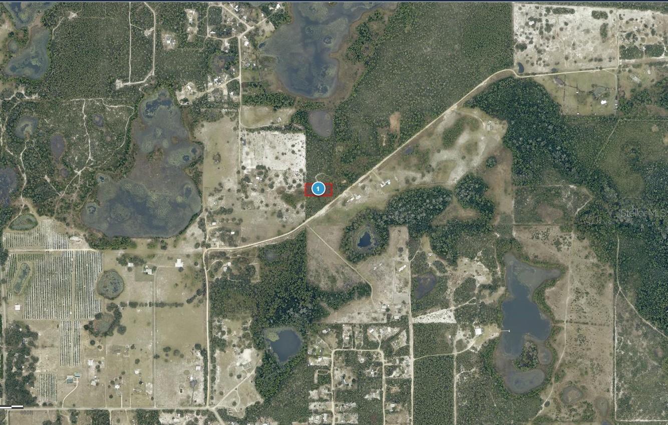 28-17-28-0004-000-03100 BUCK RUN DR, PAISLEY, FL — photo 5