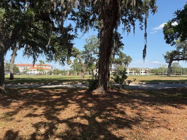 112 N LOCKMOOR AVE, TEMPLE TERRACE, FL — photo 2