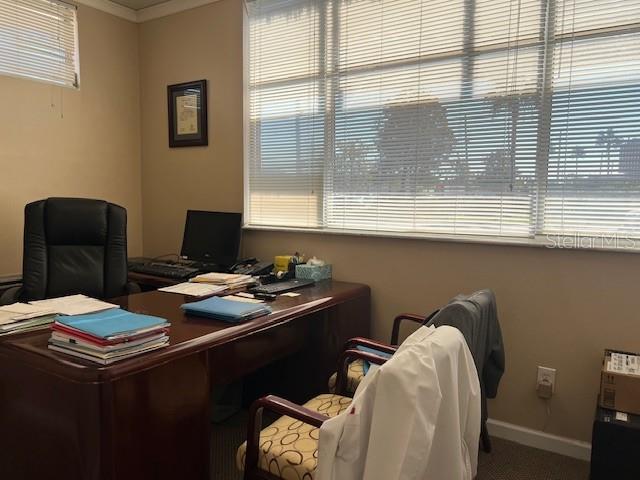 101 CLEARWATER LARGO RD N, LARGO, FL — photo 9