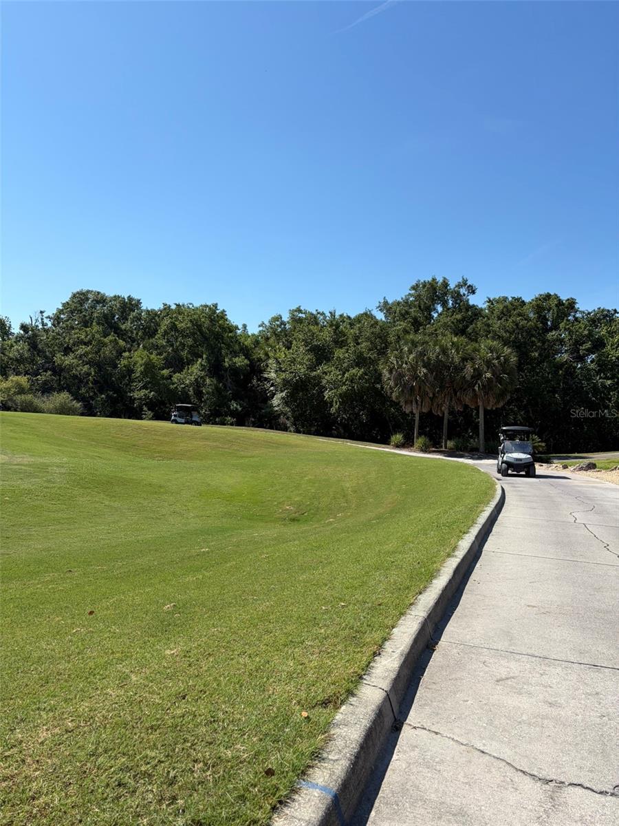 1003 FAIRWAYCOVE LN #201, BRADENTON, FL — photo 67